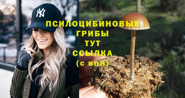 трава Баксан