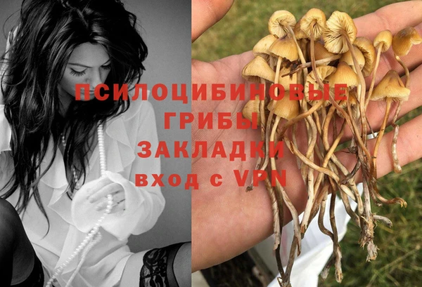 круглые Арсеньев