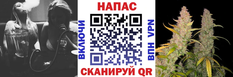 площадка состав  Суровикино  Бошки Шишки VHQ 
